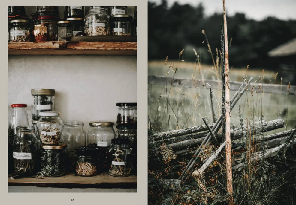 Cozy Publishing Nordic Magic Book