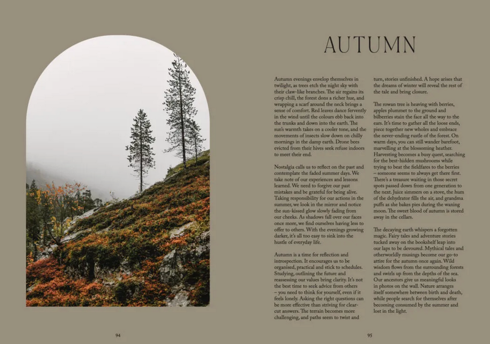 Cozy Publishing Nordic Magic Book