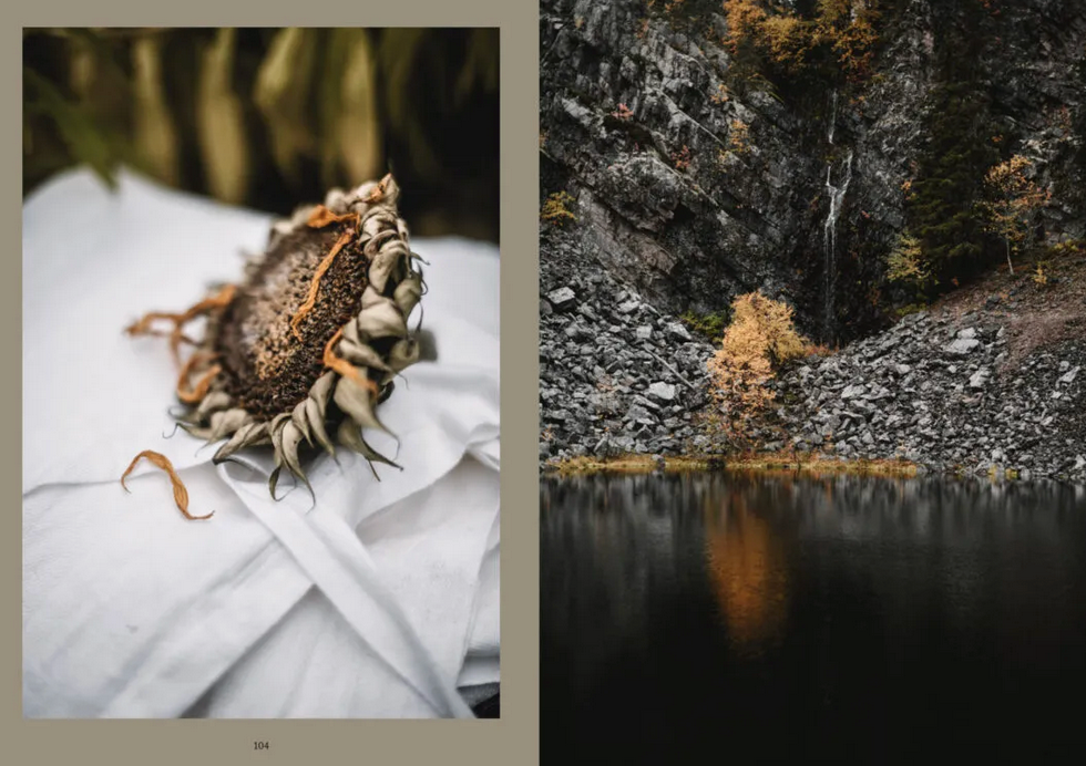 Cozy Publishing Nordic Magic Book