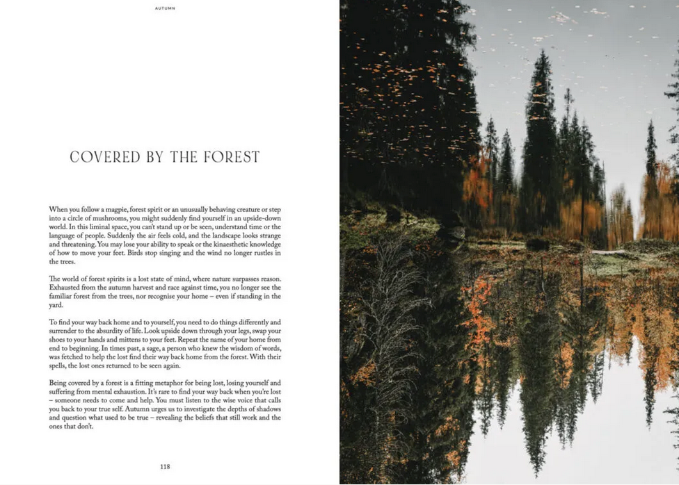 Cozy Publishing Nordic Magic Book