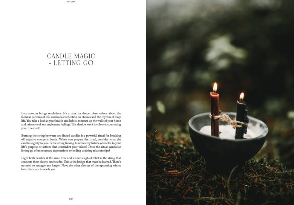 Cozy Publishing Nordic Magic Book