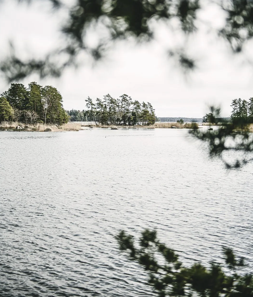 Cozy Publishing Homemade - Secrets to Timeless Interiors