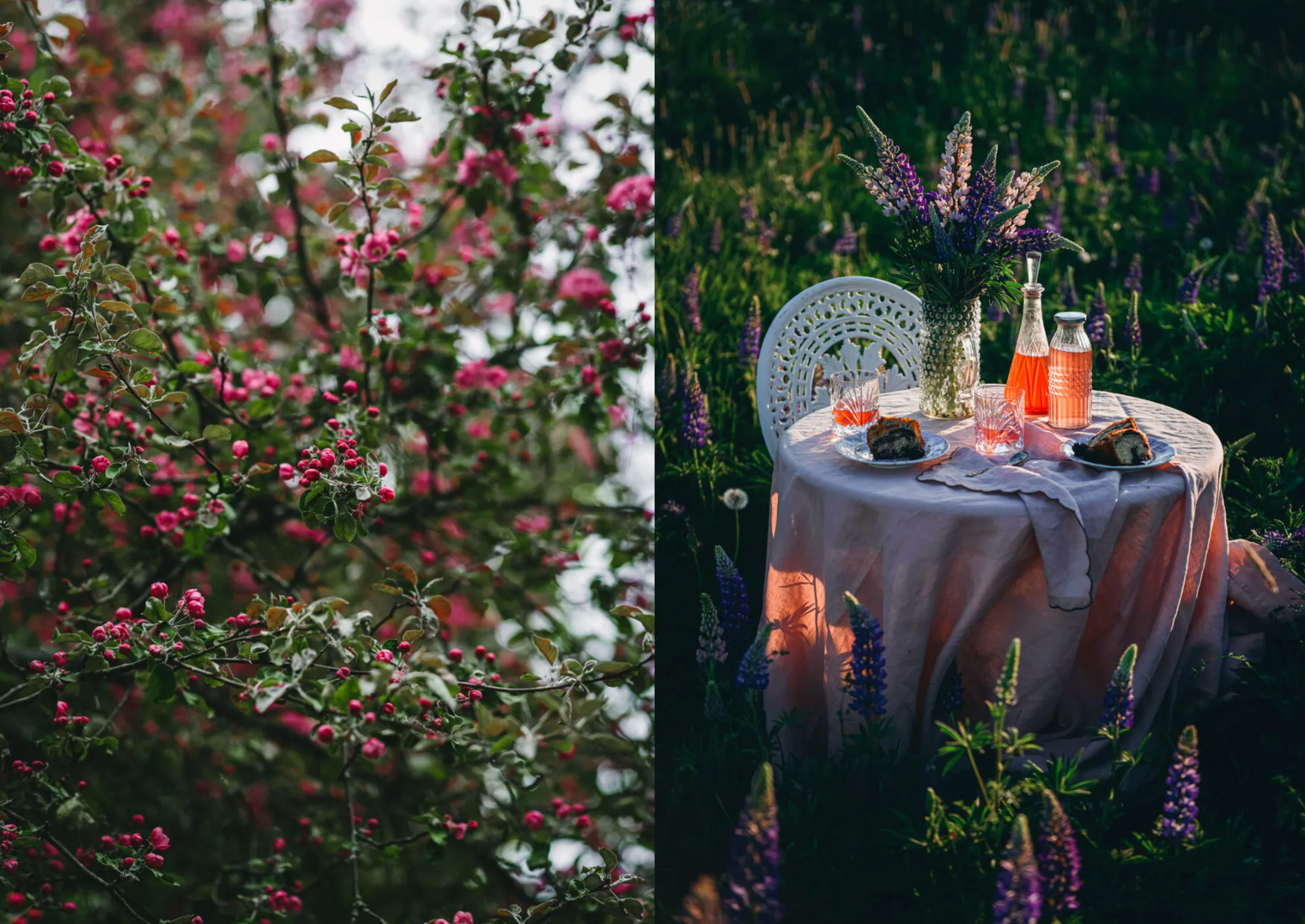 Cozy Publishing Nordic Summer Cookbook