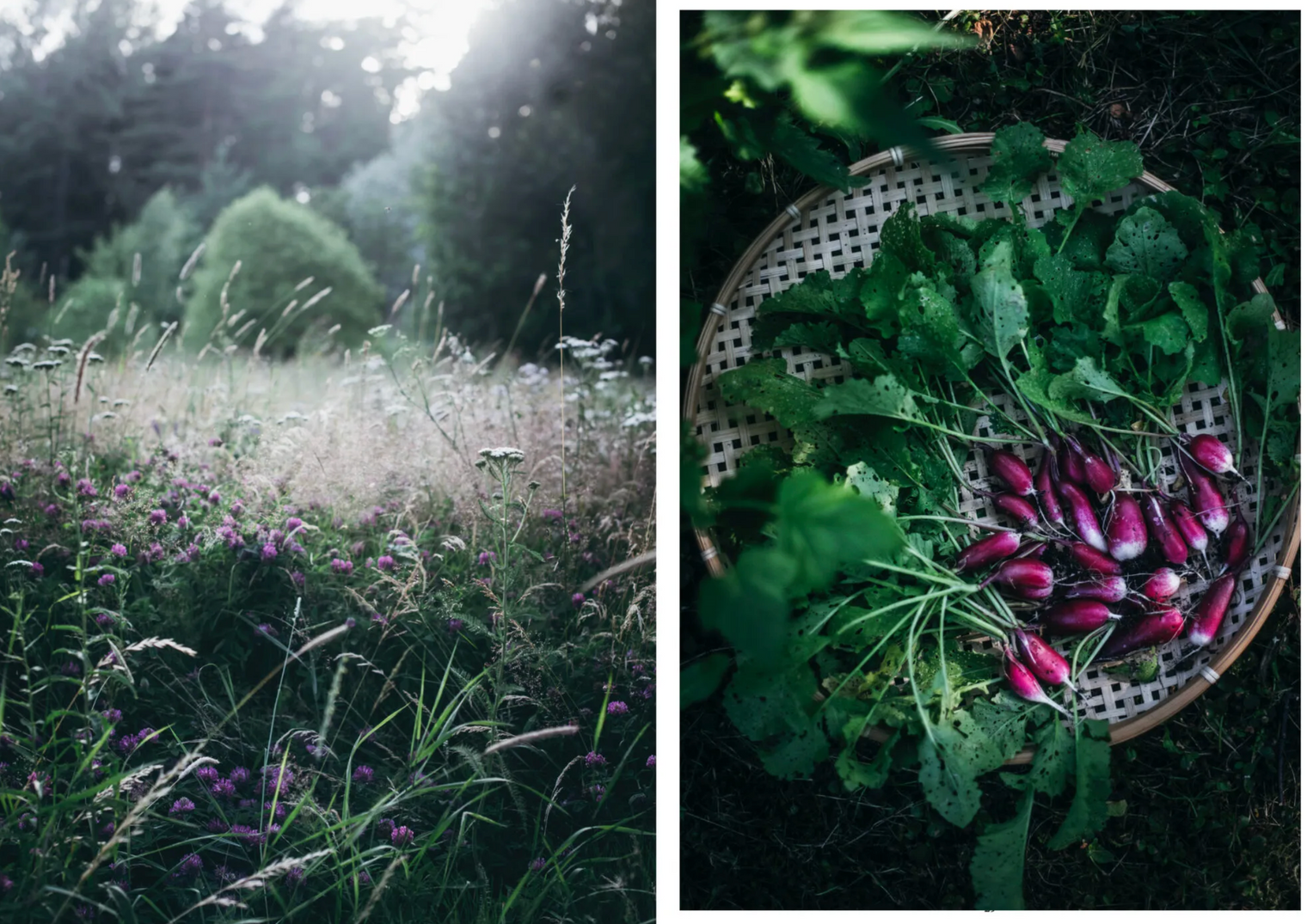 Cozy Publishing Nordic Summer Cookbook