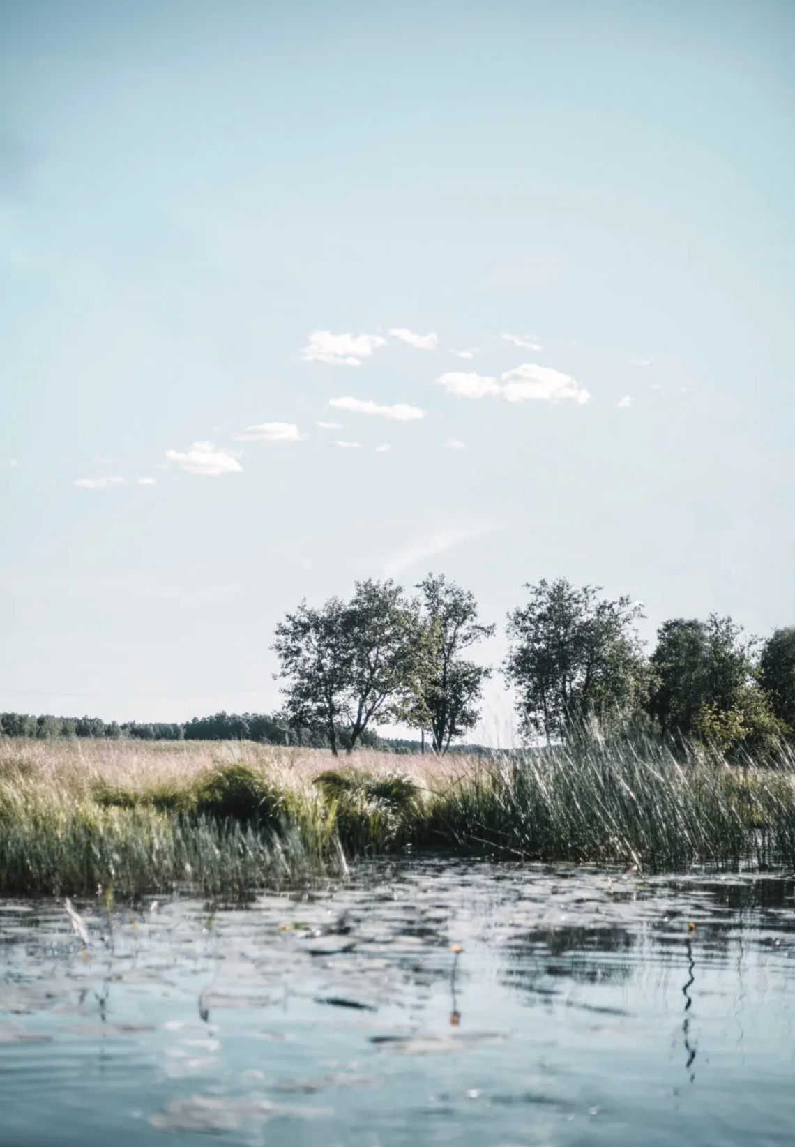 Cozy Publishing Nordic Summer Cookbook
