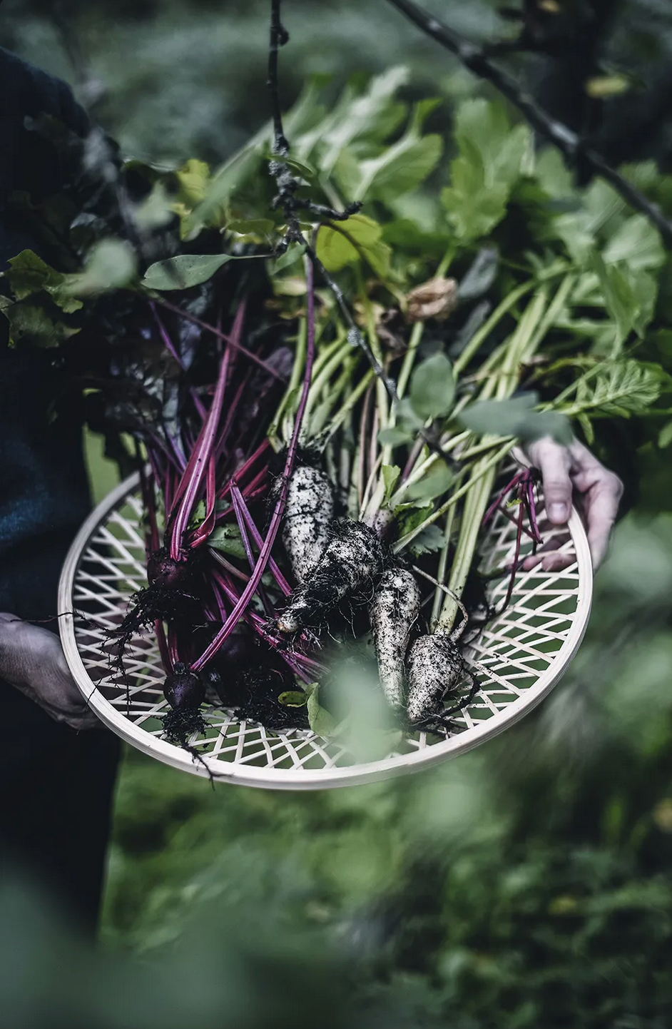 Cozy Publishing From Oven To Table