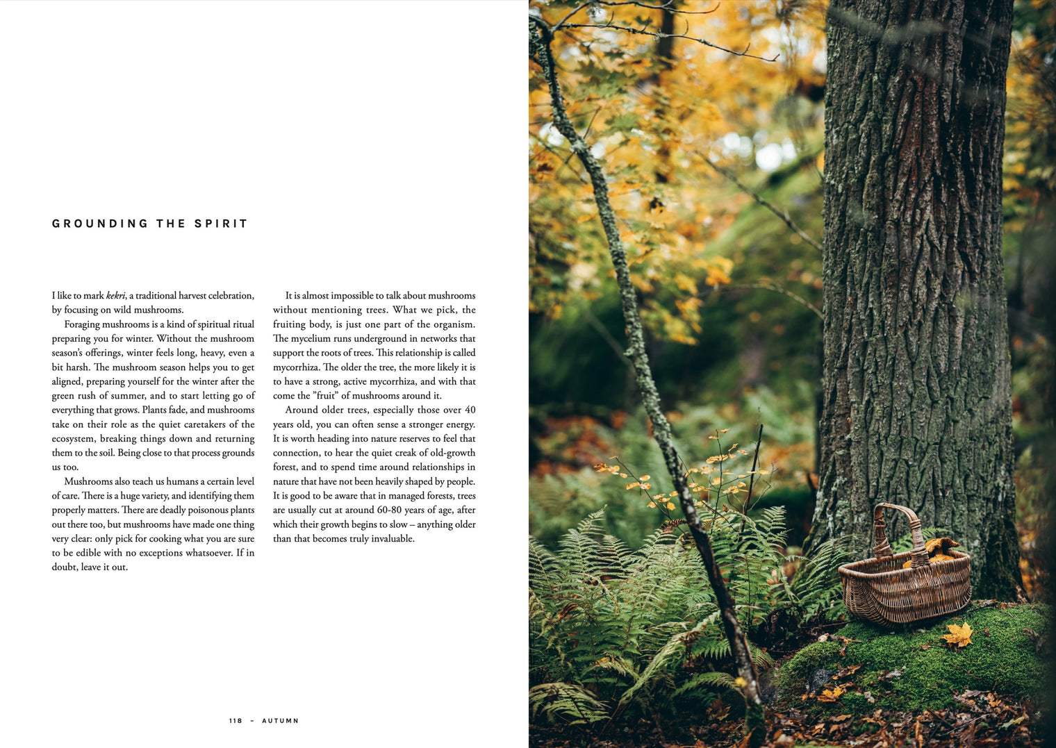 Cozy Publishing Cookbook: Chef’S Wild Nordic – Recipes For 72 Micro-Seasons