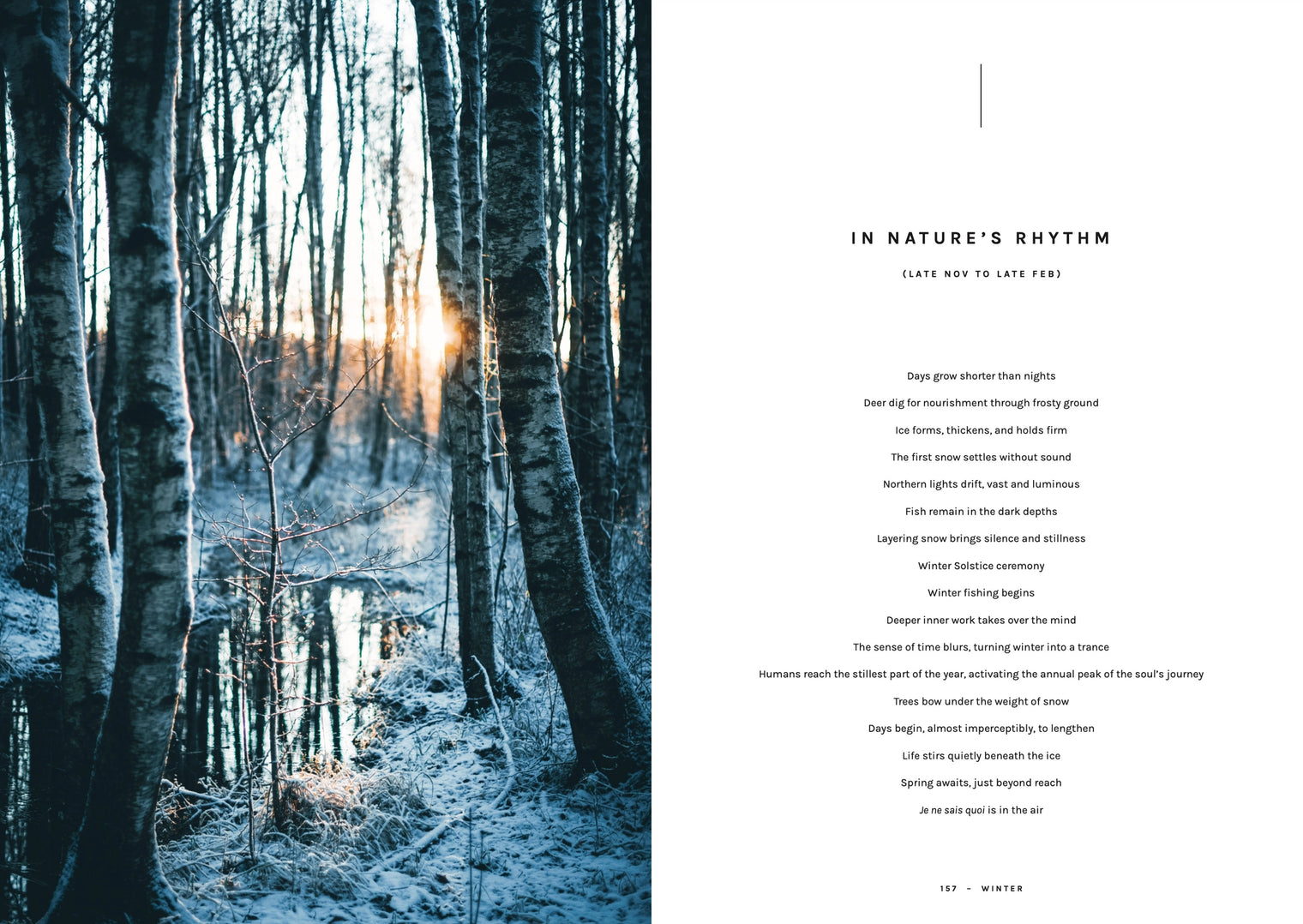 Cozy Publishing Cookbook: Chef’S Wild Nordic – Recipes For 72 Micro-Seasons