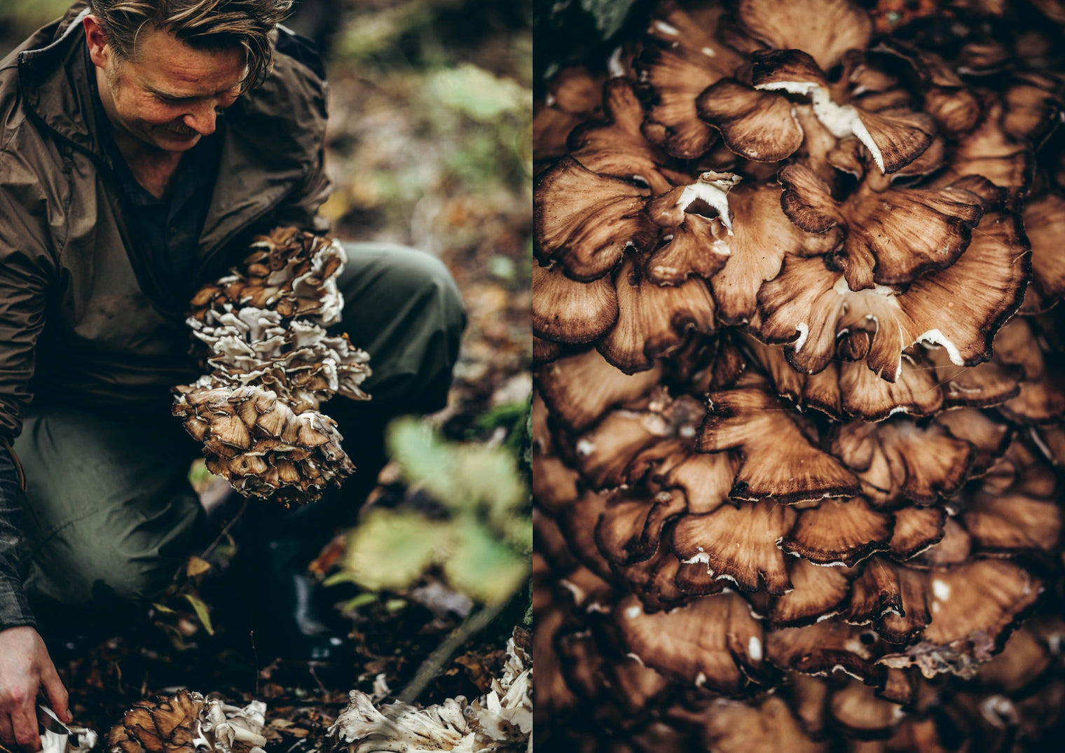 Cozy Publishing Cookbook: Chef’S Wild Nordic – Recipes For 72 Micro-Seasons