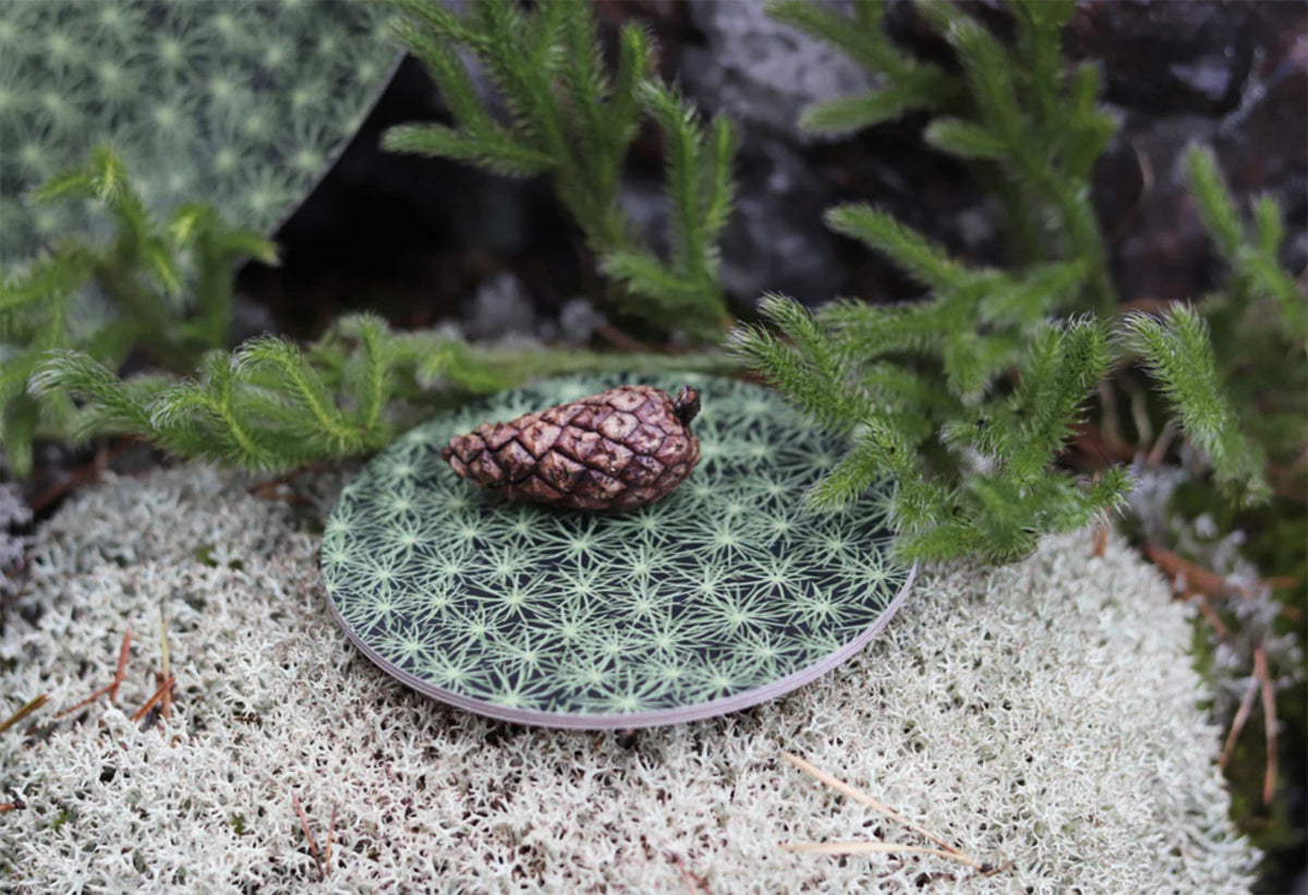 Design Palet Moss Coaster