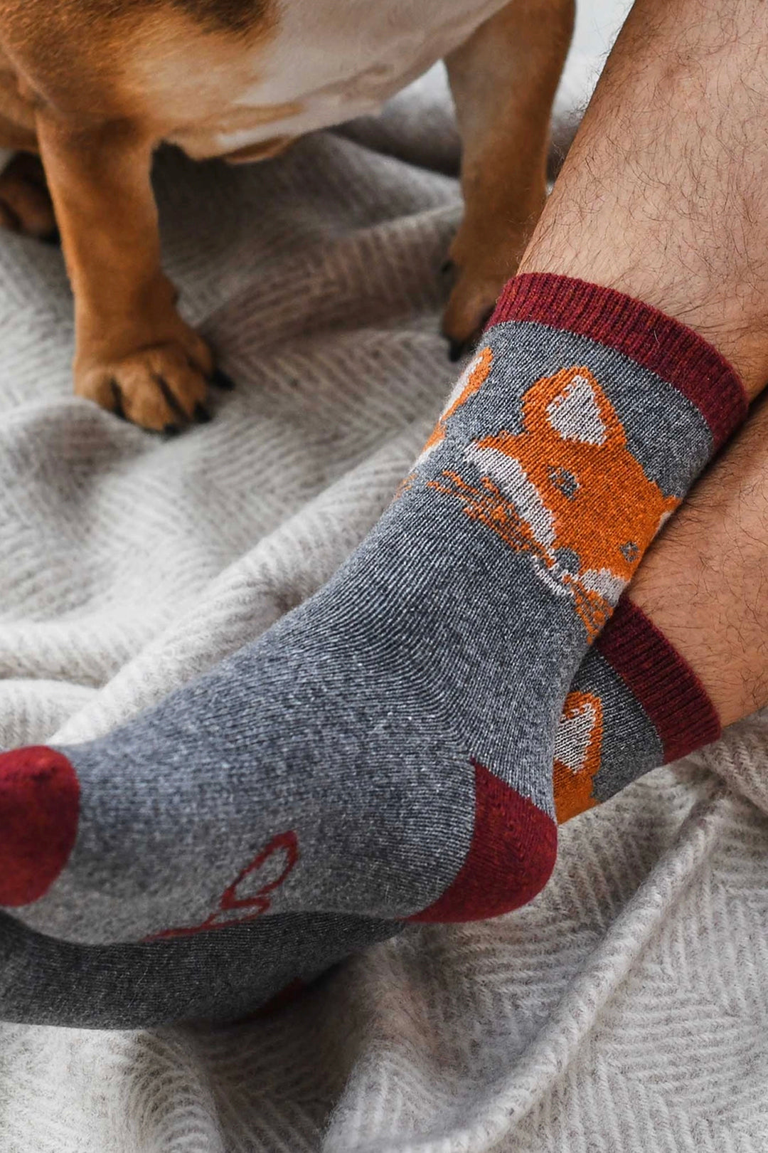 Catherine Tough Men's Lambswool Fox Face Ankle Socks