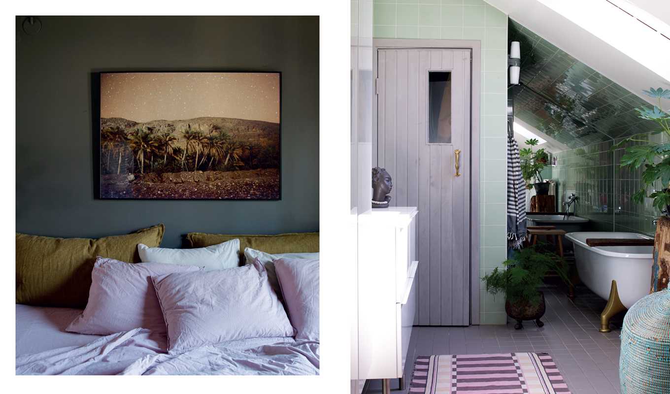 Nordic Homes in Colour