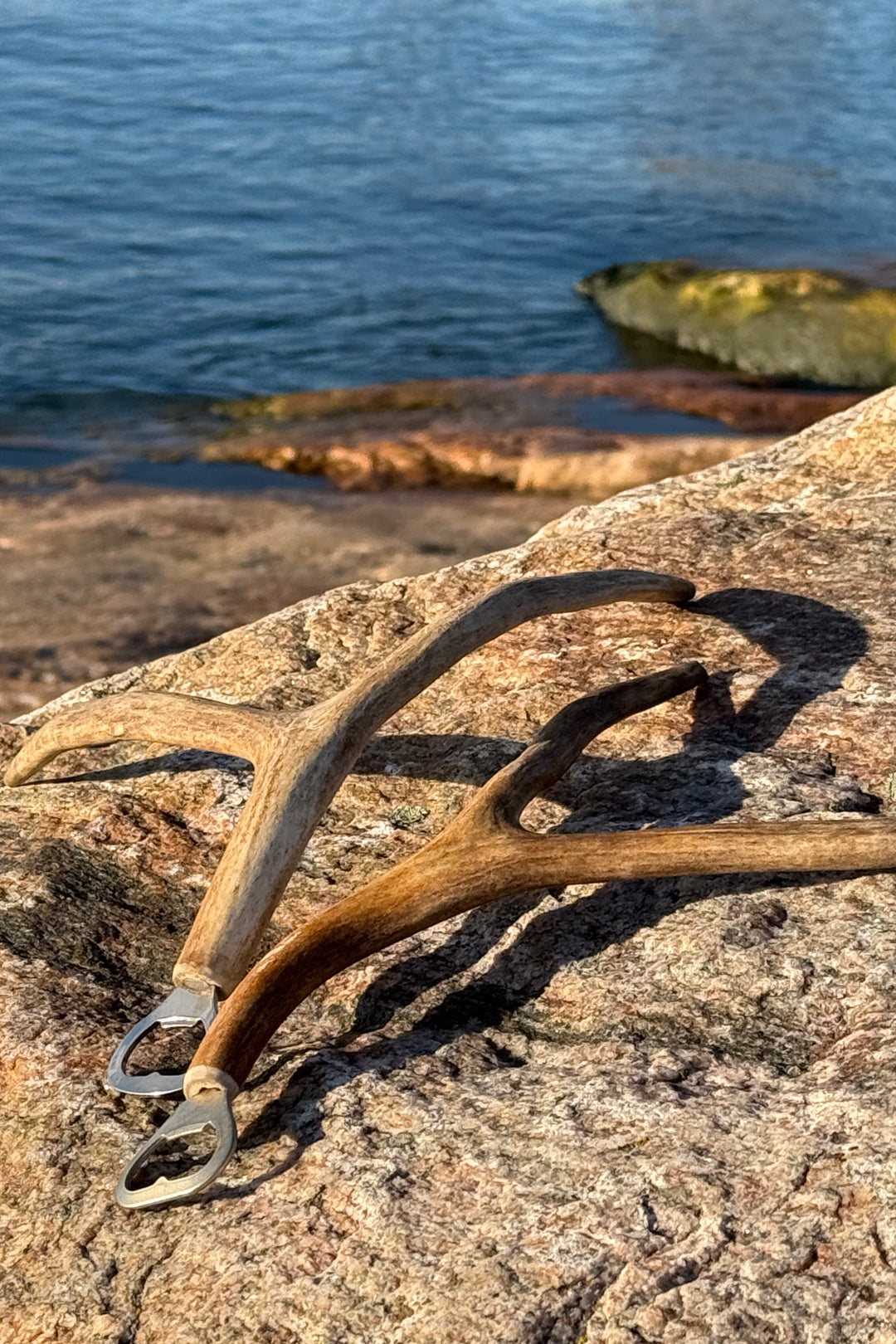 Reindeer Antler Bottle Opener