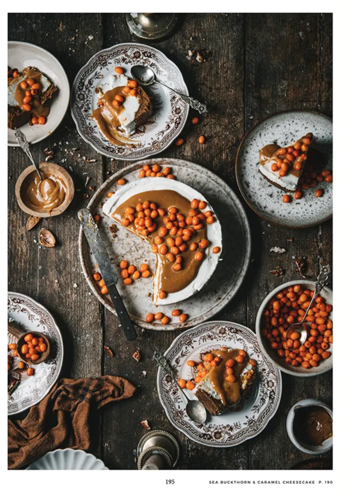 Cozy Publishing Nordic Winter Book