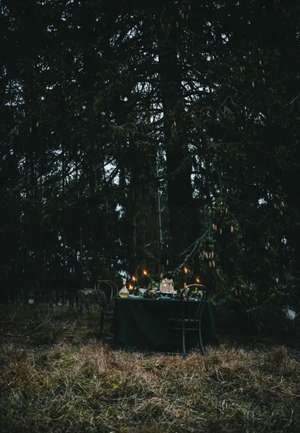 Cozy Publishing Nordic Winter Book