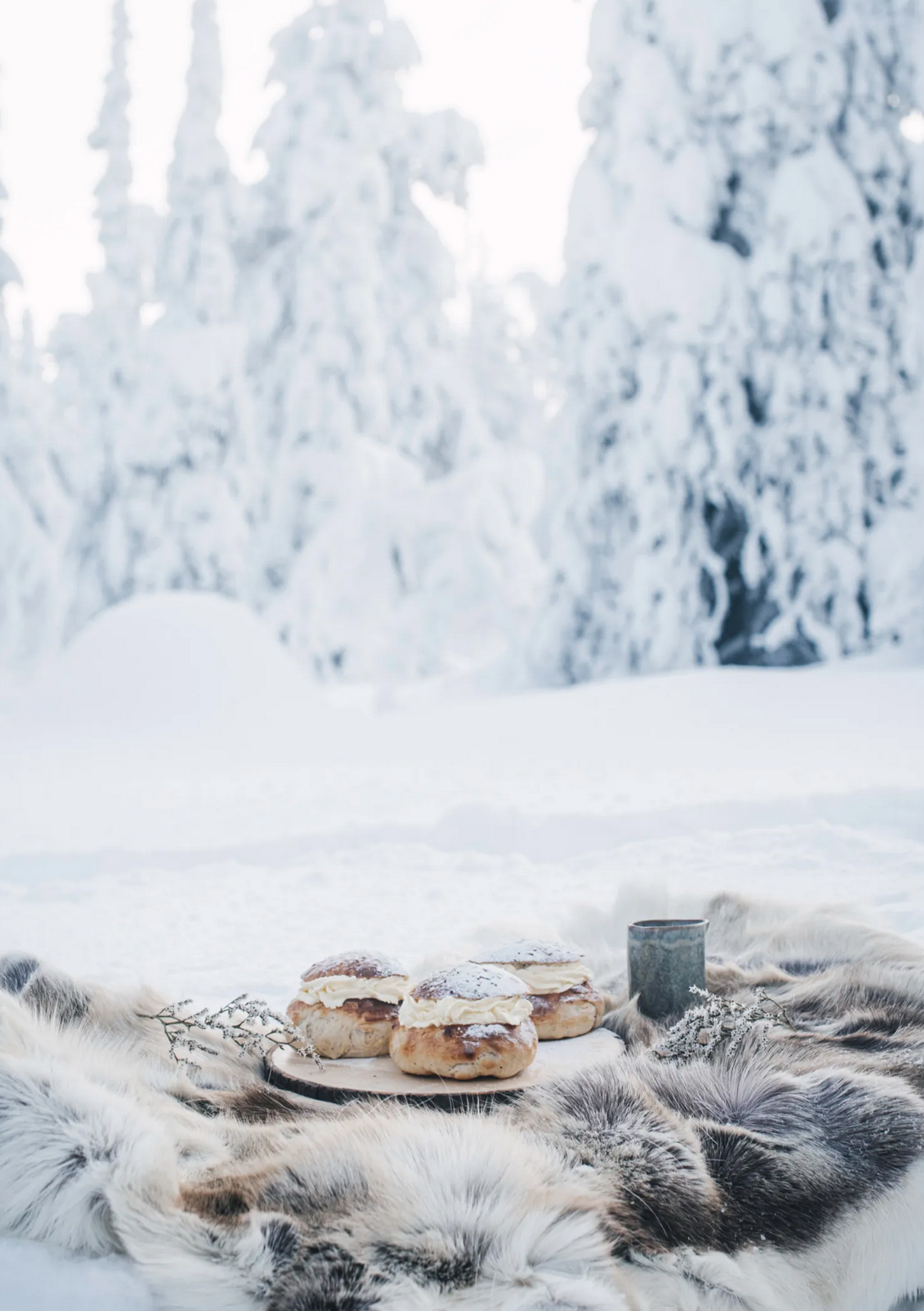 Cozy Publishing Nordic Winter Book