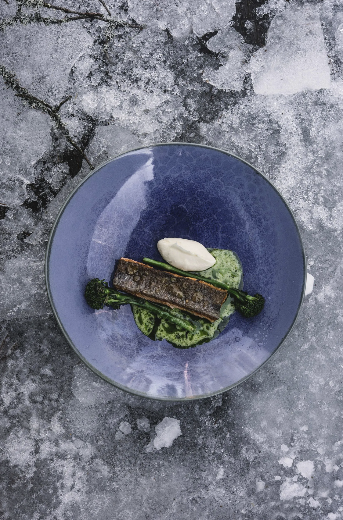 Cozy Publishing Eat Finland Book