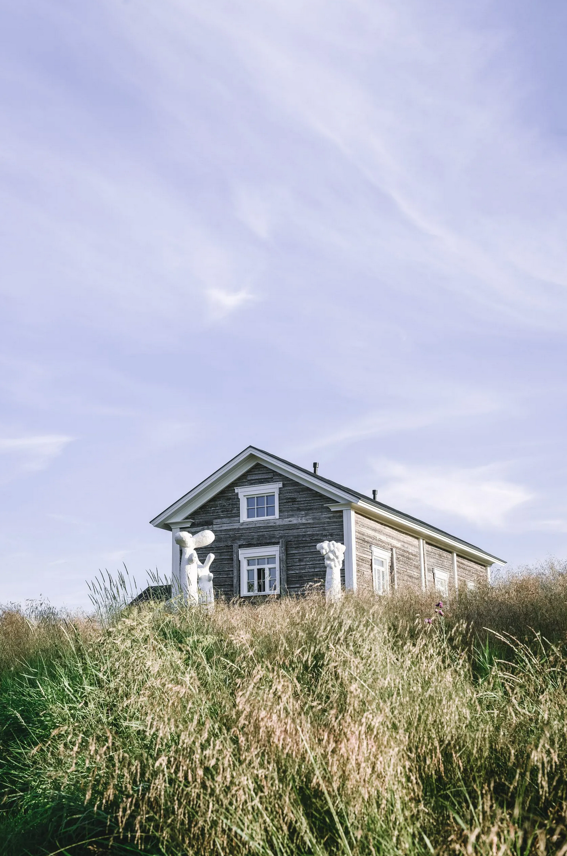 Cozy Publishing Eat Finland Book