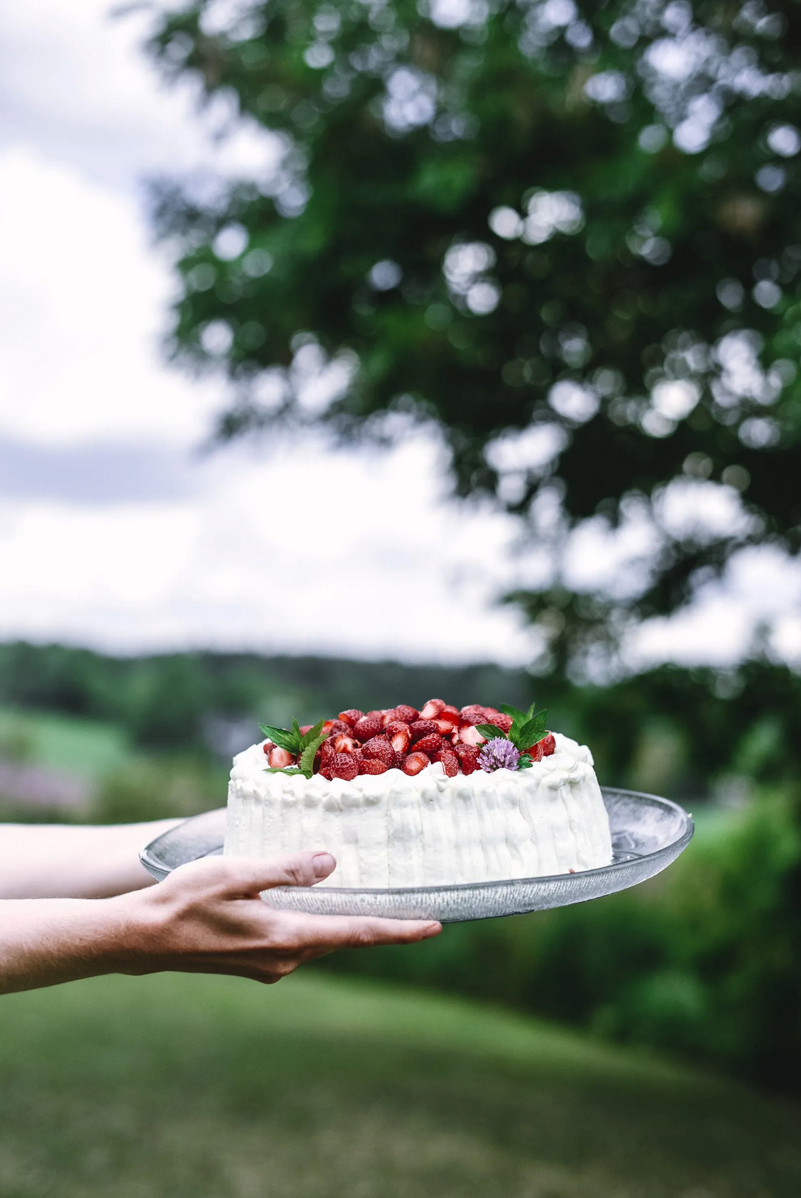 Cozy Publishing Eat Finland Book