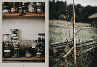 Cozy Publishing Nordic Magic Book