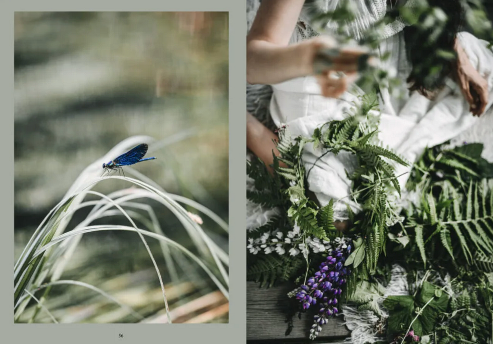 Cozy Publishing Nordic Magic Book