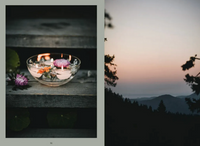 Cozy Publishing Nordic Magic Book