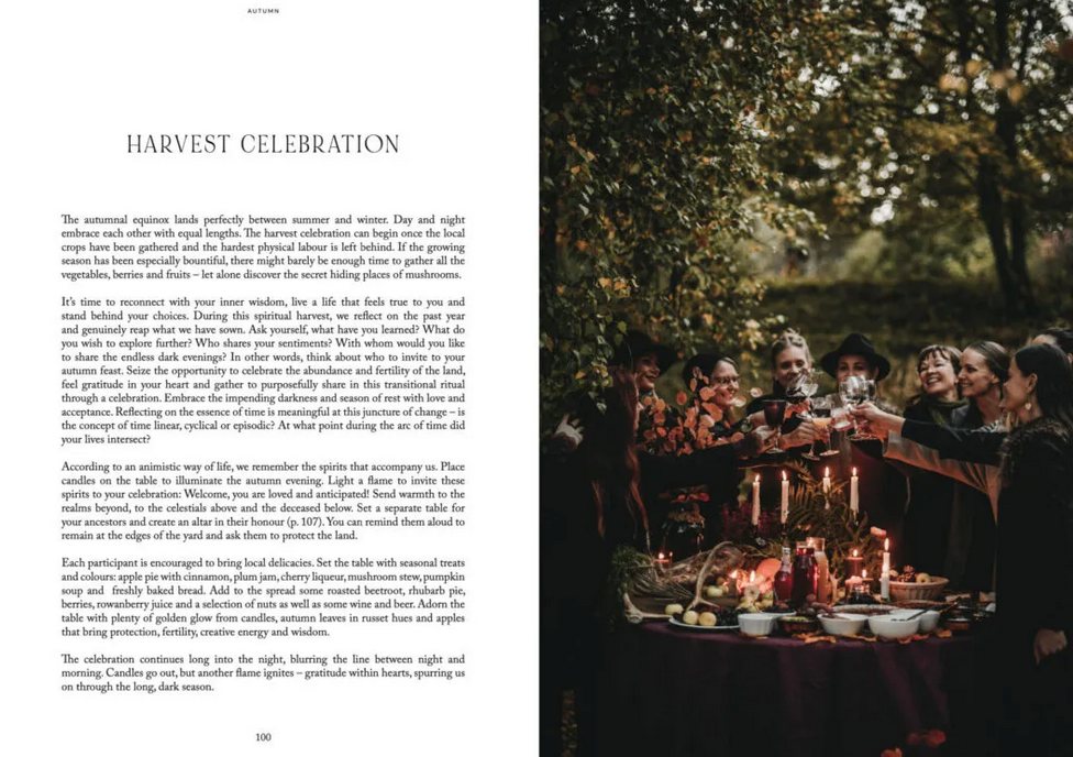 Cozy Publishing Nordic Magic Book