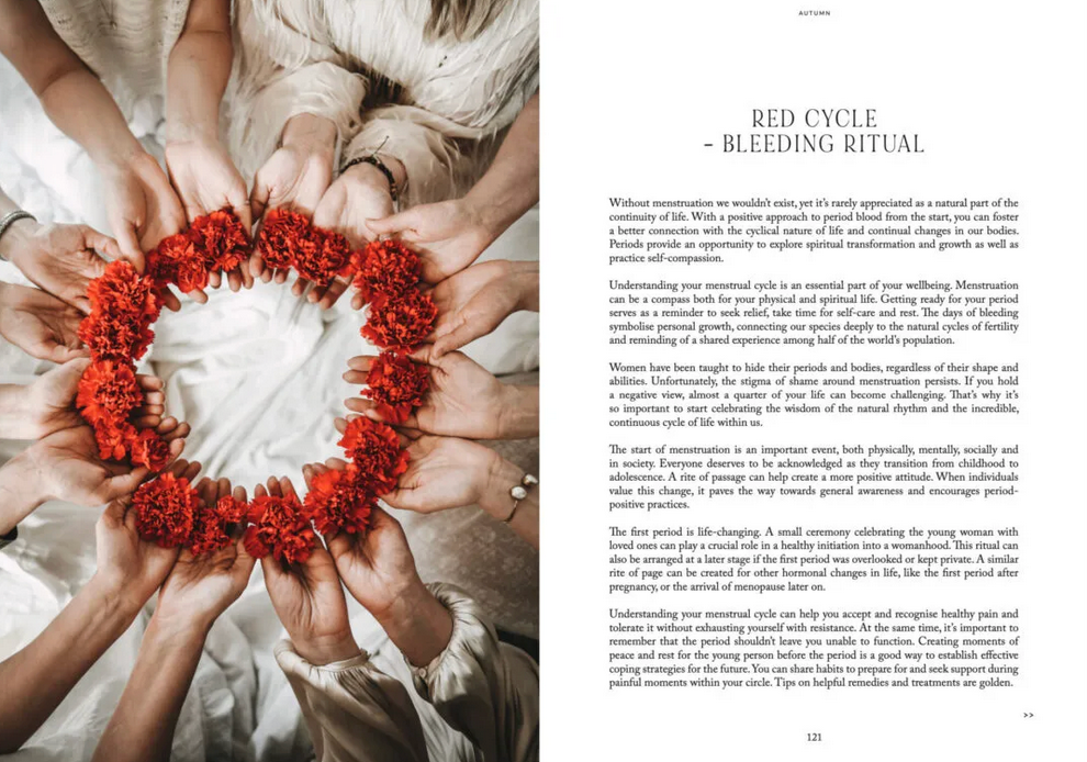 Cozy Publishing Nordic Magic Book