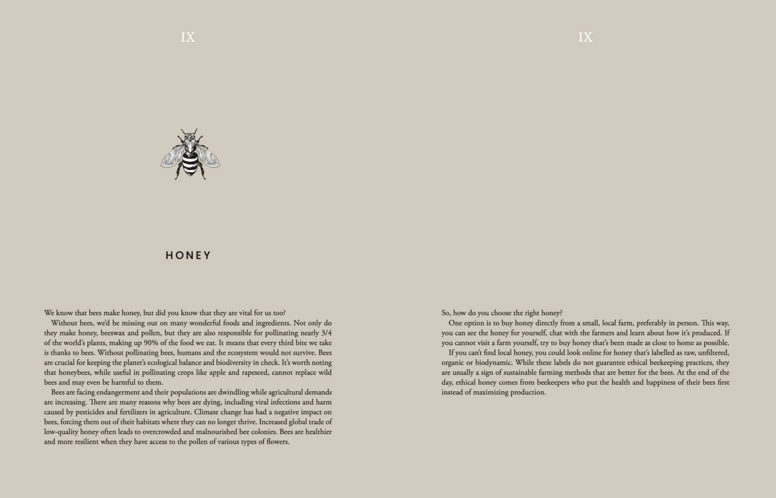 Cozy Publishing Cooking Sustainably