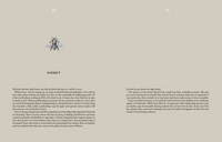 Cozy Publishing Cooking Sustainably