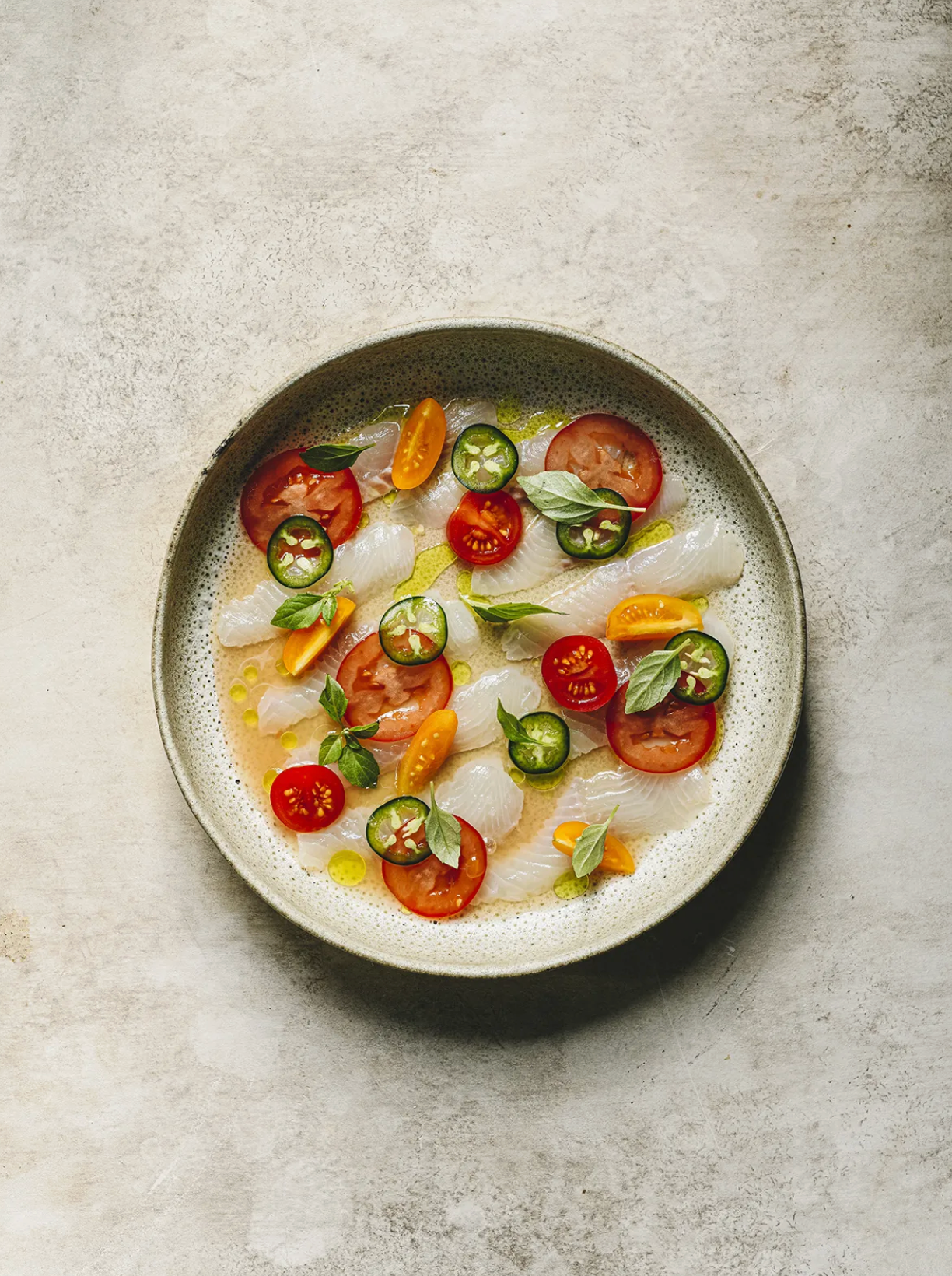 Cozy Publishing Cooking Sustainably