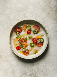 Cozy Publishing Cooking Sustainably