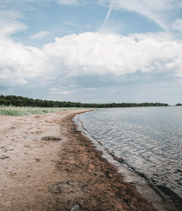 Cozy Publishing Homemade - Secrets to Timeless Interiors