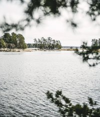 Cozy Publishing Homemade - Secrets to Timeless Interiors