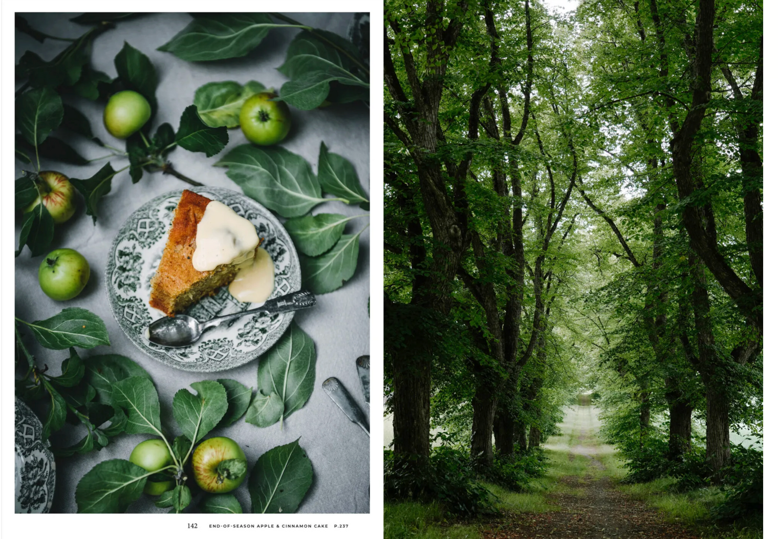 Cozy Publishing Nordic Summer Cookbook