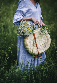 Cozy Publishing Nordic Summer Cookbook
