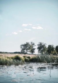 Cozy Publishing Nordic Summer Cookbook