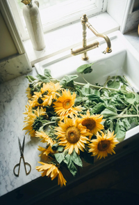 Cozy Publishing Nordic Summer Cookbook