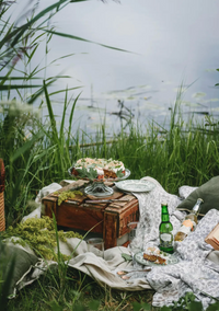 Cozy Publishing Nordic Summer Cookbook