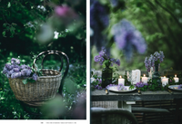 Cozy Publishing Nordic Summer Cookbook