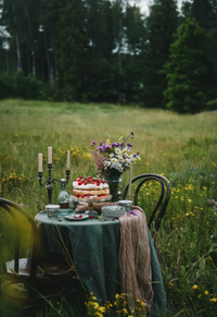 Cozy Publishing Nordic Summer Cookbook