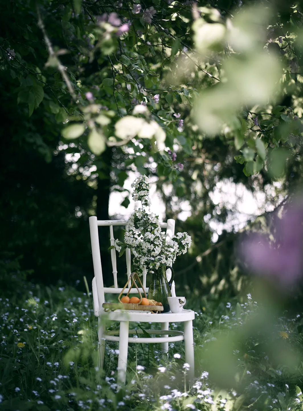 Cozy Publishing From Oven To Table