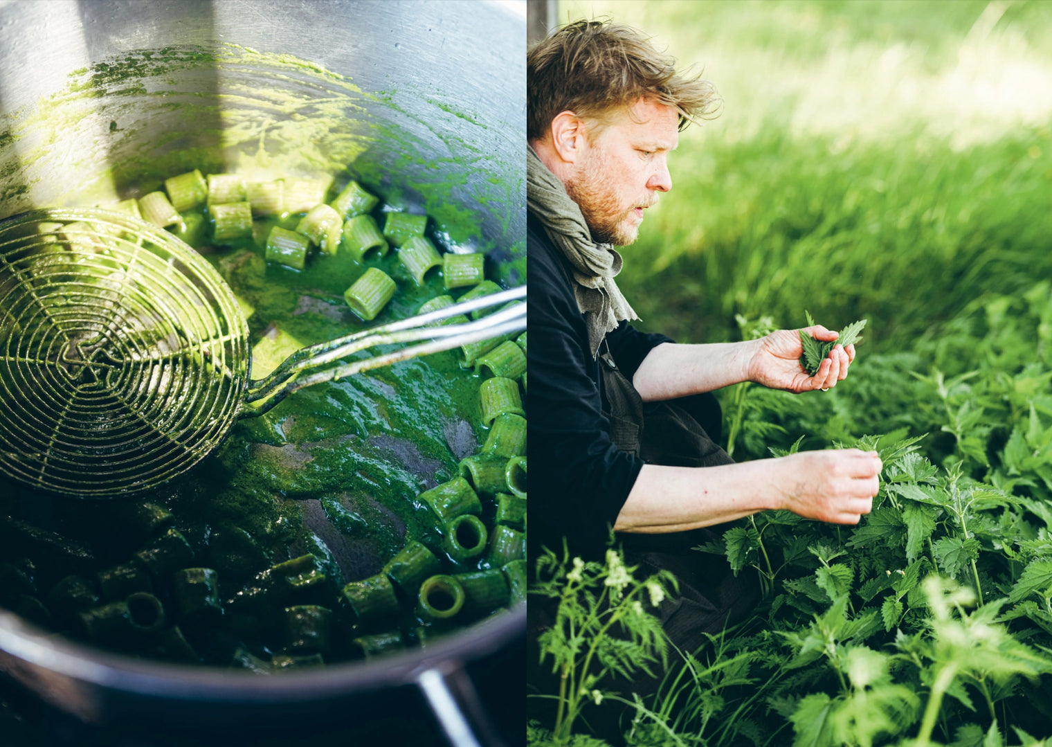 Cozy Publishing Cookbook: Chef’S Wild Nordic – Recipes For 72 Micro-Seasons