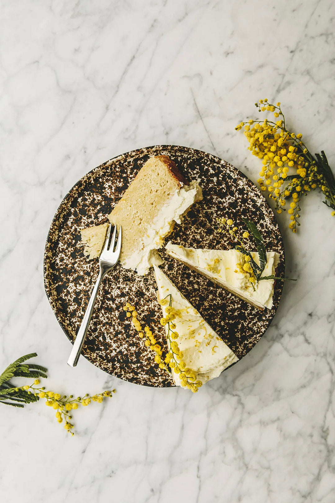 Cozy Publishing Cooking Sustainably