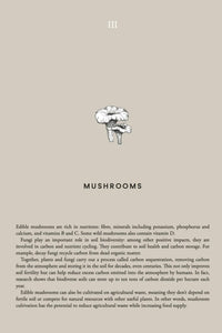 Cozy Publishing Cooking Sustainably