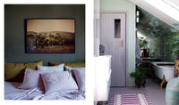 Nordic Homes in Colour