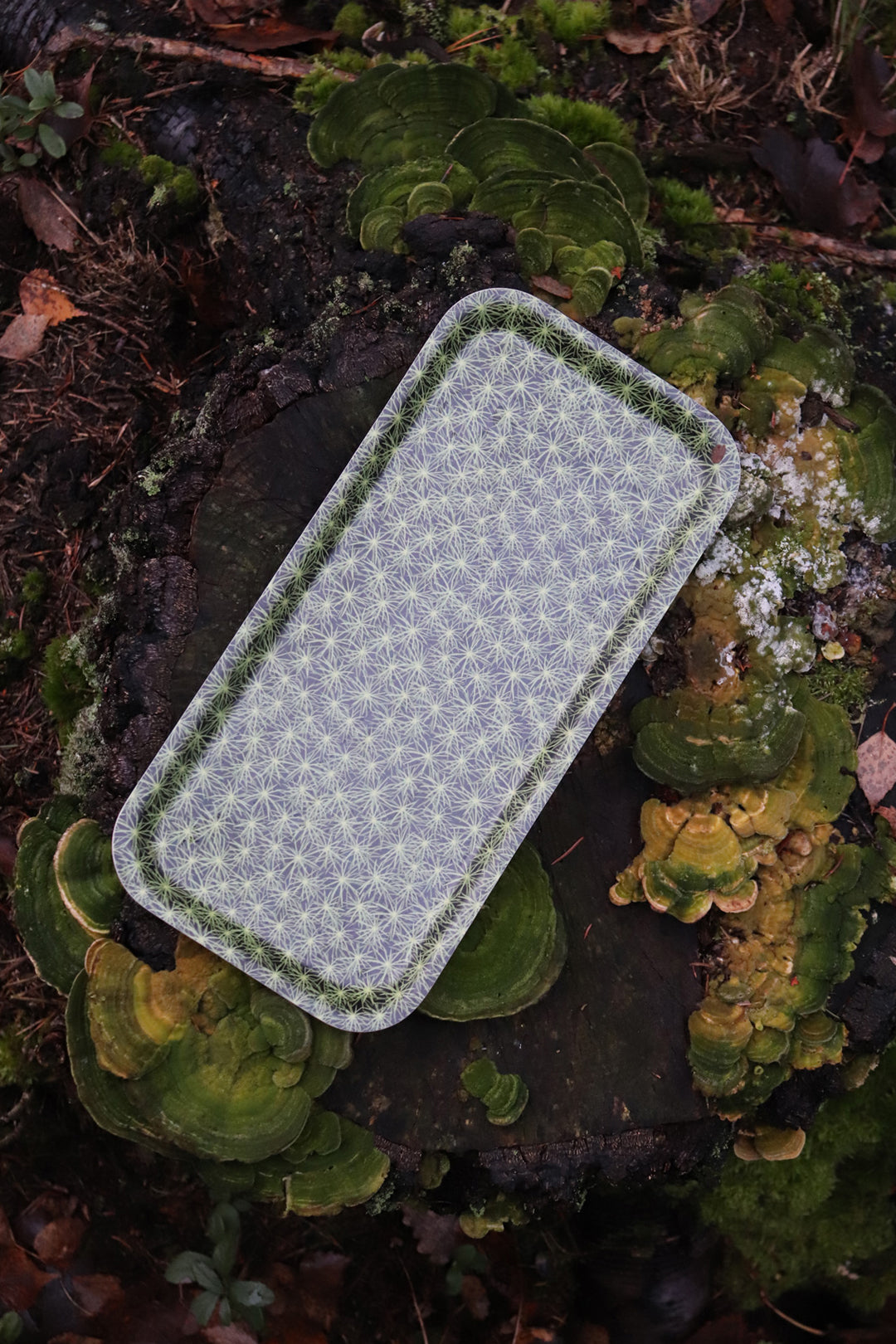 Design Palet Moss Tray