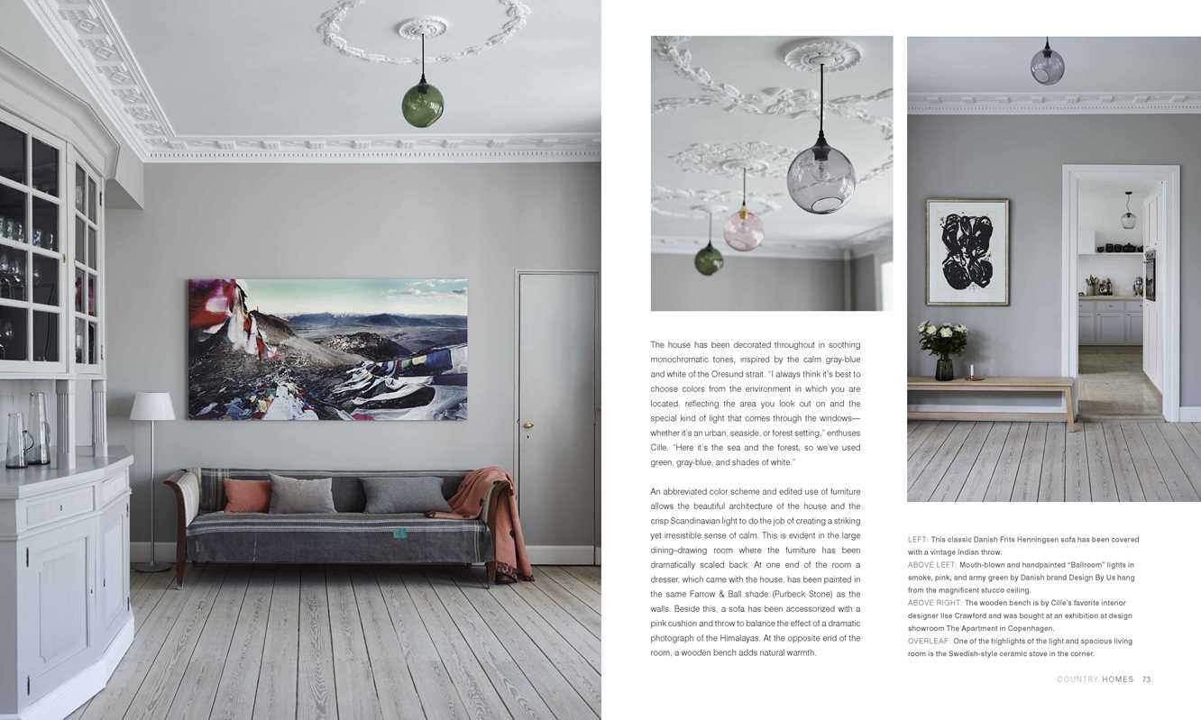 The Scandinavian Home