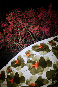 Marimekko Valssi Fabric