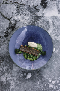 Cozy Publishing Eat Finland Book